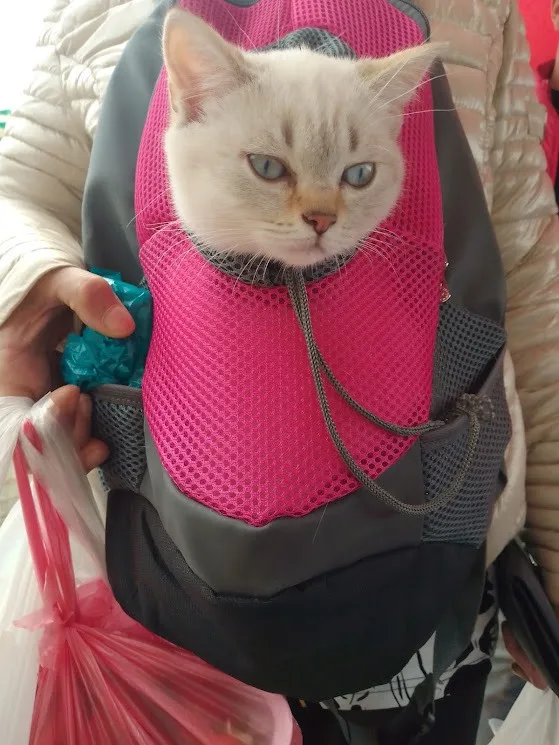Kontrole hazır