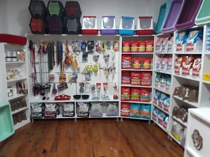 Pet shop reyonu